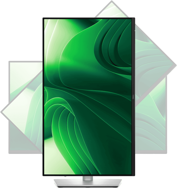 Monitor Dell P2425D 24" miniatura 10