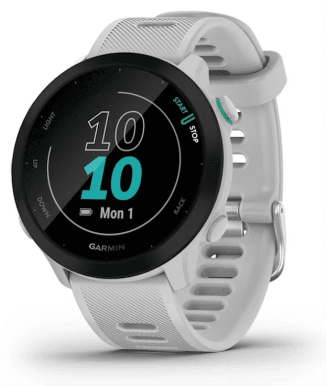 SmartWatch Garmin Forerunner 55 GPS 42mm WhiteStone — imagen 1
